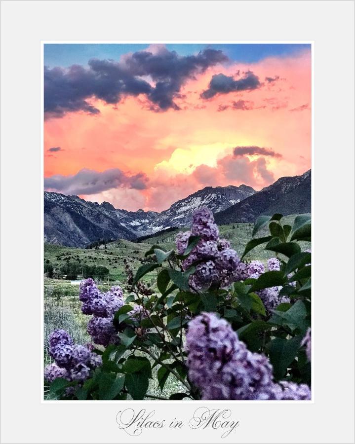 Pine Creek Cabin Livingston Montana Luaran gambar
