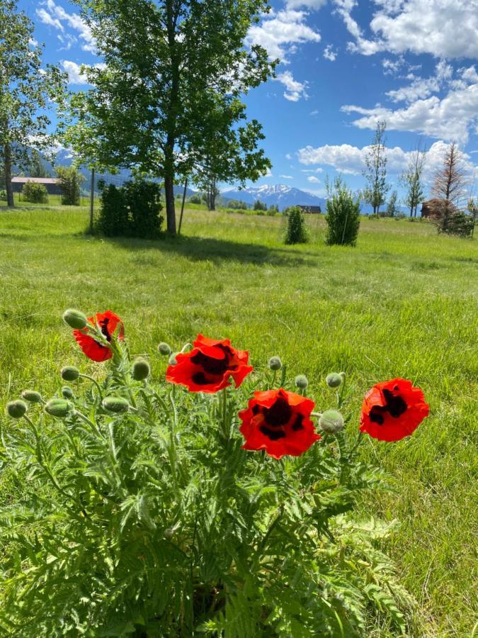 Pine Creek Cabin Livingston Montana Luaran gambar