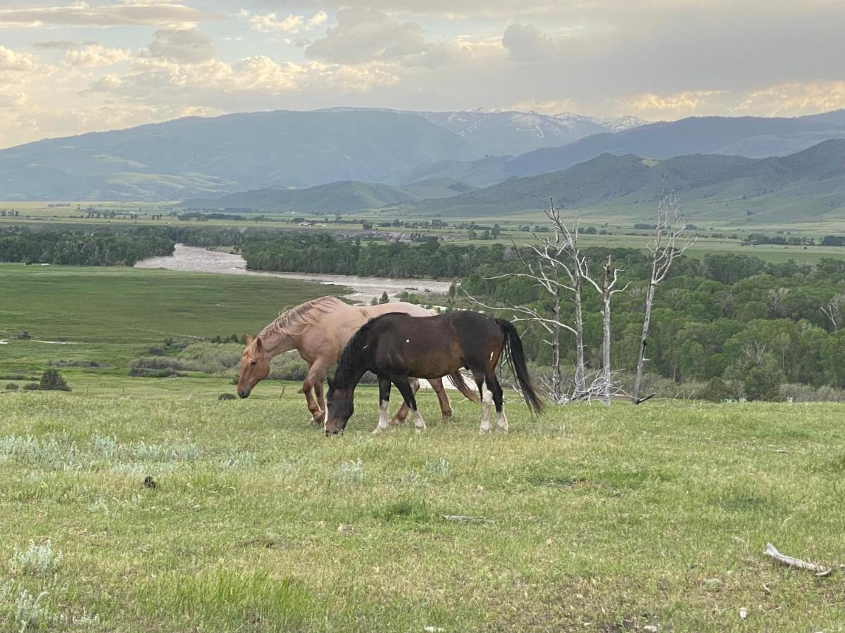 Pine Creek Cabin Livingston Montana Luaran gambar