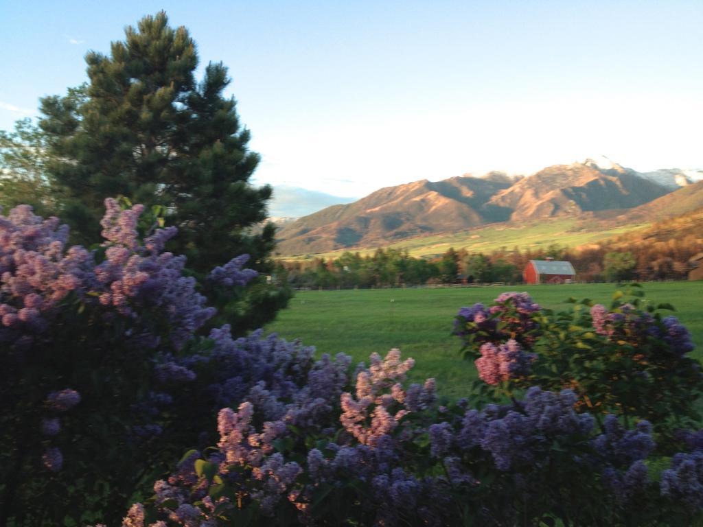 Pine Creek Cabin Livingston Montana Luaran gambar
