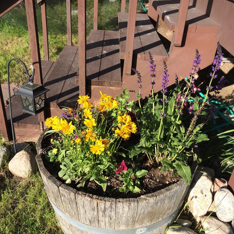 Pine Creek Cabin Livingston Montana Luaran gambar