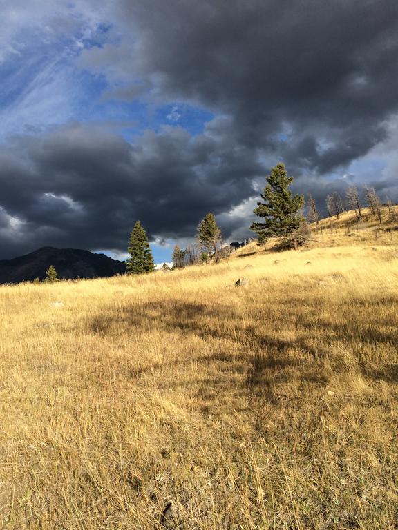 Pine Creek Cabin Livingston Montana Luaran gambar